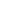 Icon Auto und Pinsel